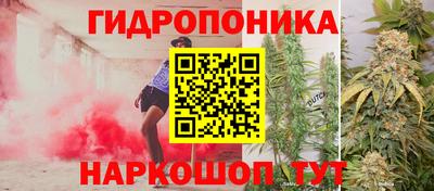 прущие грибы Бугуруслан
