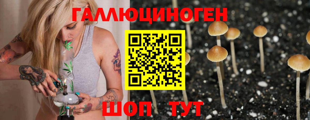 Полысаево  Галлюциногенные грибы мицелий  Вход с VPN 